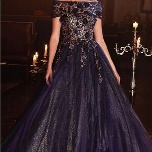 Cinderella Divine Dress in Navy blue/Gold
